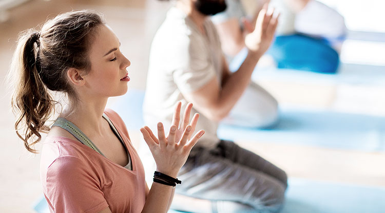 200Hr Vikasa Yoga Teacher Training
